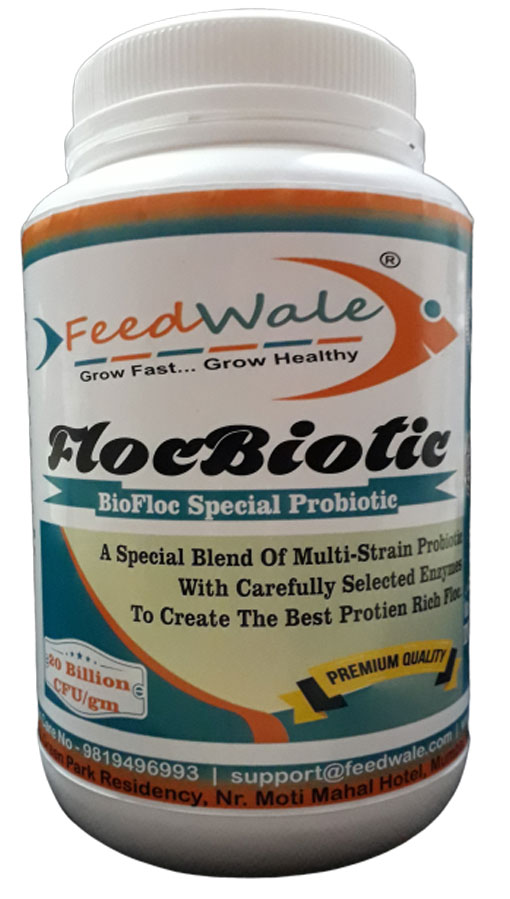 Biofloc Probiotic