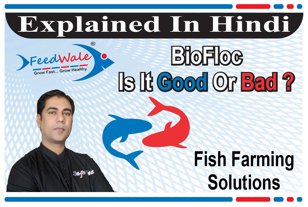fish feed online Archives - FeedWale