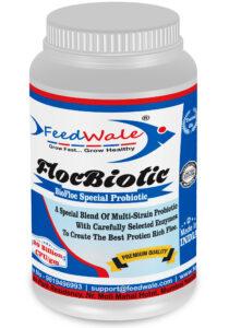 FeedWale FlocBiotic 20 Billion Probiotic For BioFloc