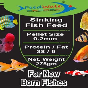 fish food online Archives - FeedWale