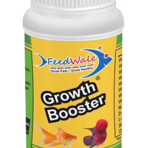 Buy FeedWale Power Gel Protein Based Binder Gel to Mix Medicines