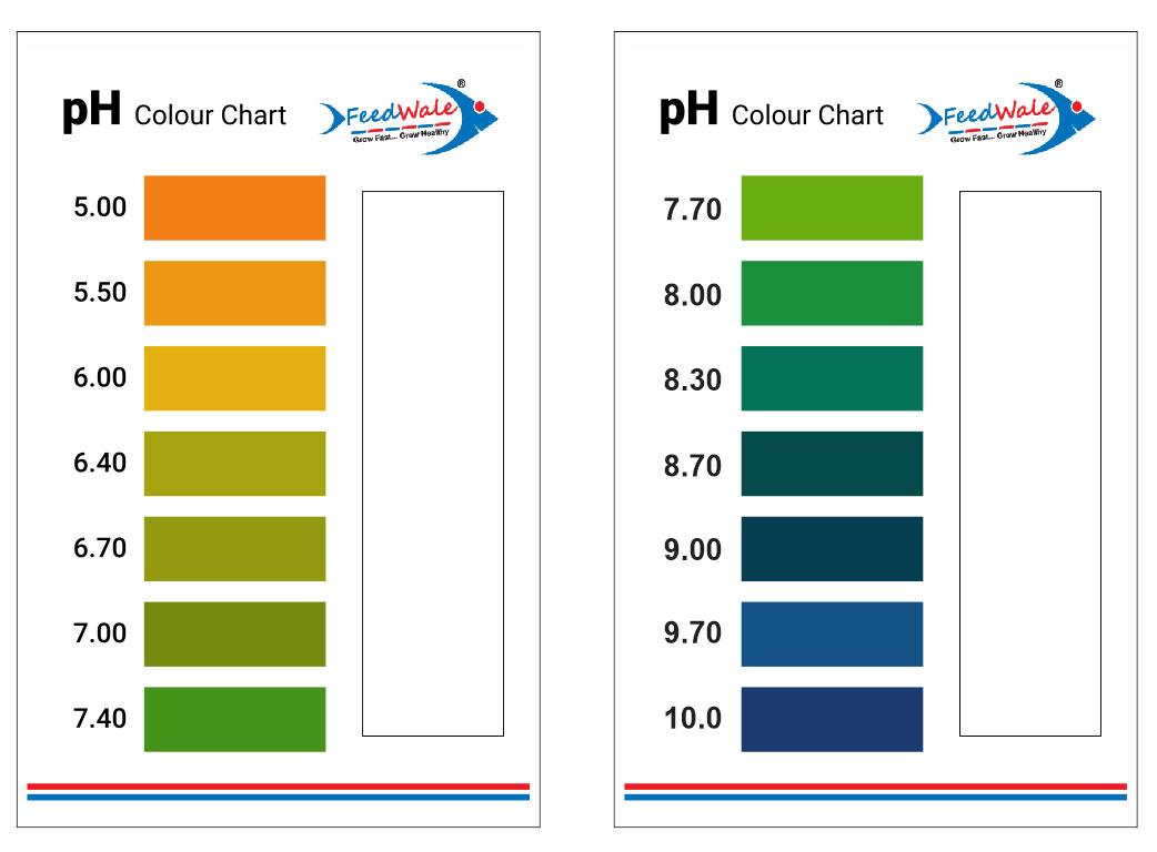 pH Color Chart