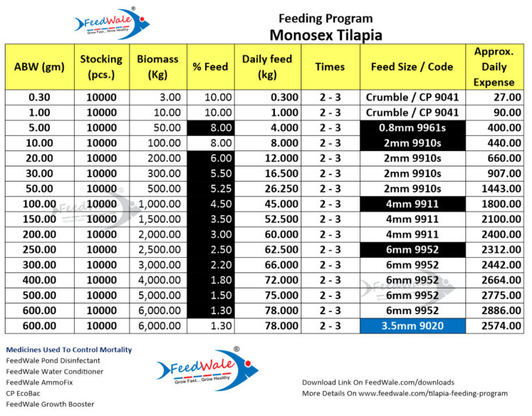 Tilapia Feeding Program - FeedWale