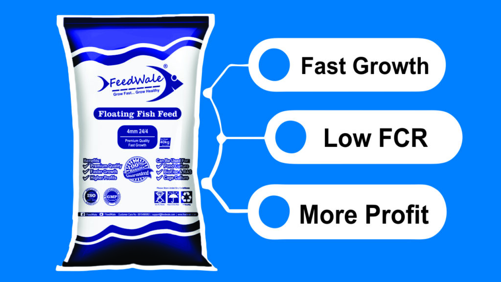 Low FCR Fish Feed