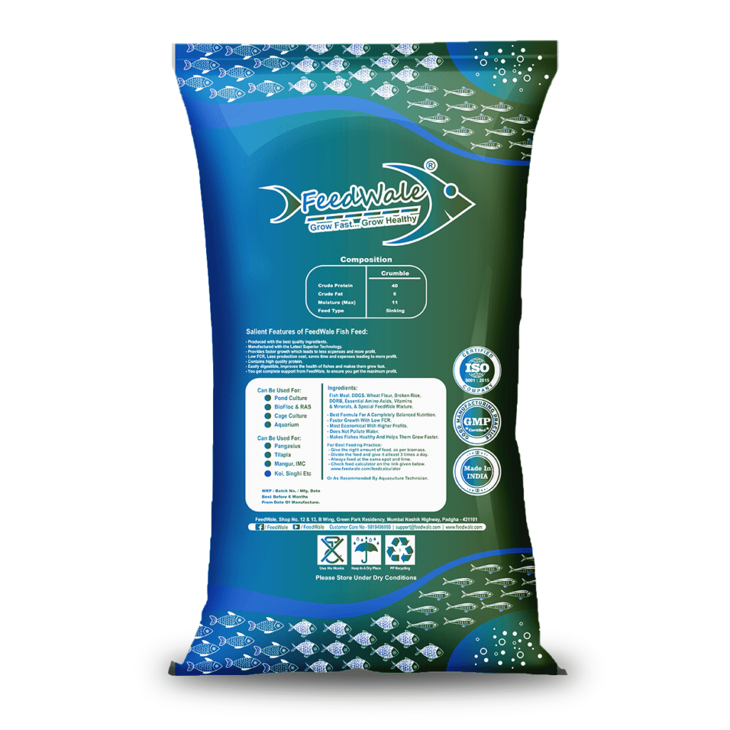 Fish Feed For Small Fishes