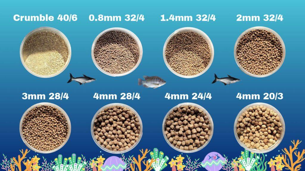 Samples FeedWale Fish Feed