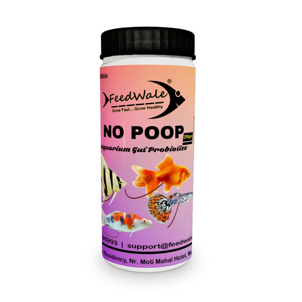 FeedWale No Poop Gut Probiotics